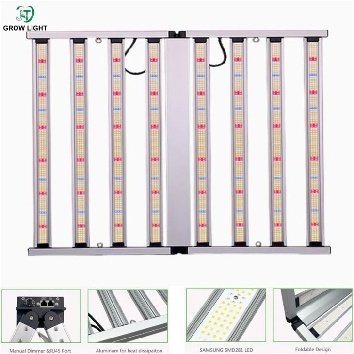 800W Light
