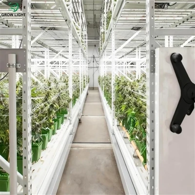 Foldable LED Grow Lights in Low-Ceiling Grow Rooms: What Actually Works and What Doesn't Foldable LED Grow Lights in Low-Ceiling Grow Rooms: What Actually Works and What Doesn't