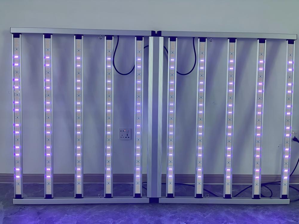 grow light .jpg