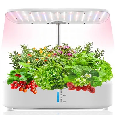 Mini inomhushydroponiskt grönsakssystem