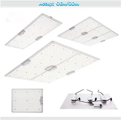 Kvant LED -odlingsljus